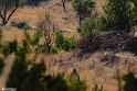 Moun280305-19