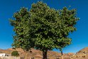 Moun280305-9