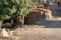 Nighab-Paskooh-17