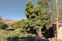 Nighab-Paskooh-18