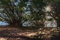 TalabAlam-22