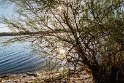 TalabAlam-25