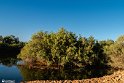TalabAlam-7
