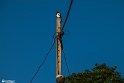 Zoll01-04-05-12