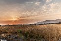 Drought_Resilience_-10