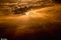 Drought_Resilience_-12