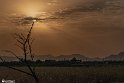 Drought_Resilience_-15