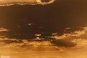 Drought_Resilience_-8