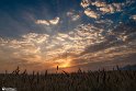 Drought_Resilience_ (2)