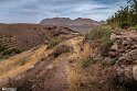 Mahyar10-0405 (10)