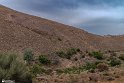 Mahyar10-0405 (12)