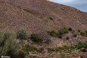 Mahyar10-0405 (13)
