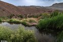 Mahyar10-0405 (19)