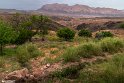 Mahyar10-0405 (27)