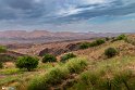 Mahyar10-0405 (28)