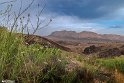 Mahyar10-0405 (6)