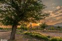 Calm Moments4