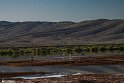 Silent Wetland  10