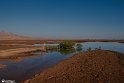 Silent Wetland  26
