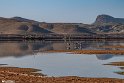 Silent Wetland  29