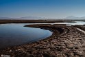Silent Wetland  3 (2)