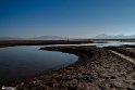 Silent Wetland  4