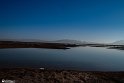 Silent Wetland  7