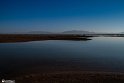 Silent Wetland  9