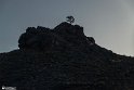 Mount (13)