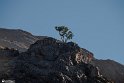 Mount (18)