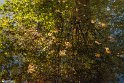 Vorazgh030605-21