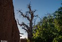 Vorazgh030605-35