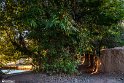 Vorazgh030605-8