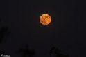 moon-11