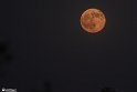 moon-12