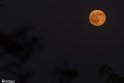 moon-13