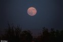 moon-2