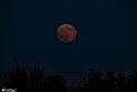 moon-3