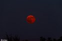 moon-4