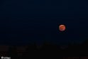 moon-5