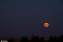moon-7