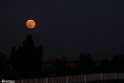 moon-8