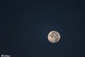 moonp-10