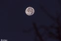 moonp-12