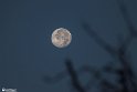 moonp-13