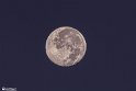 moonp-2