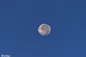 moonp-23