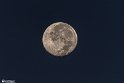 moonp-3