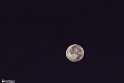 moonp-4