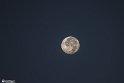 moonp-5